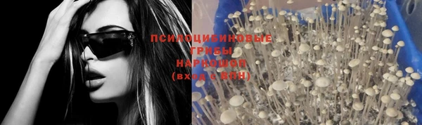 соль ск Горнозаводск