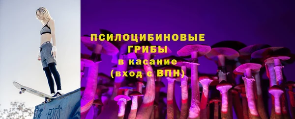 соль ск Вяземский