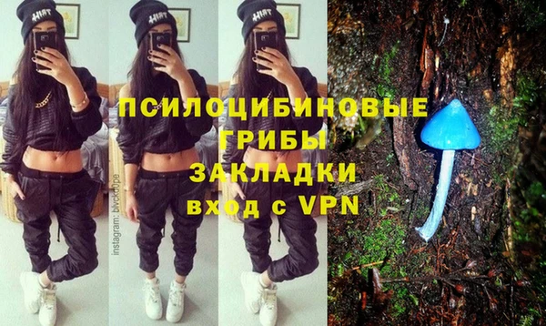 соль ск Горнозаводск