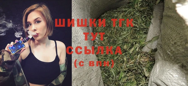 спиды Горняк