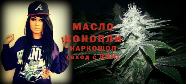 спиды Горняк