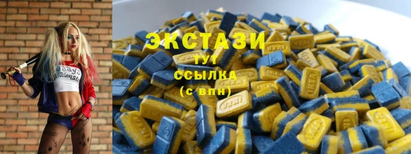 соль ск Вяземский