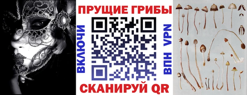 дарк нет клад  Озёрск  Галлюциногенные грибы прущие грибы 